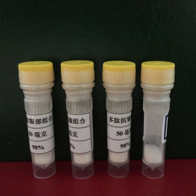 Good quality white color Antho-RPamide I ,CAS 145523-59-7 from Chengdu Youngshe Chem